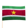 Flaga Surinamu