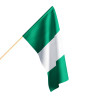 Flaga Nigerii