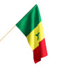 Flaga Senegalu