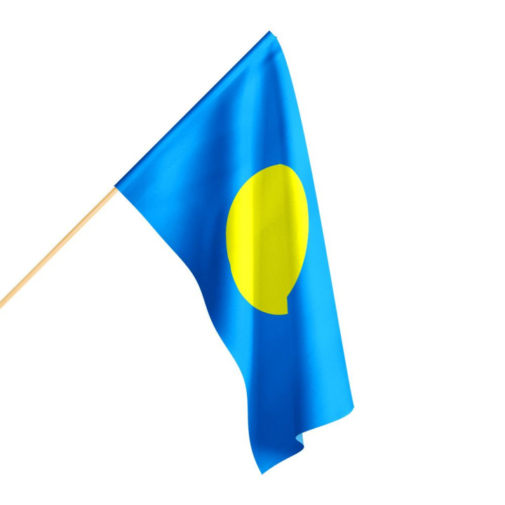 Flaga Palau różne wymiary