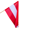 Flaga Austrii