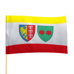 Flaga Bielsko-Białej szybko