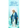 Baner z Niepokalaną Maryją Panną "Módl się za nami"