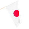 Flaga Japonii