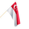 Flaga Singapuru
